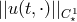 ||u(t,⋅)||C1 ⋆