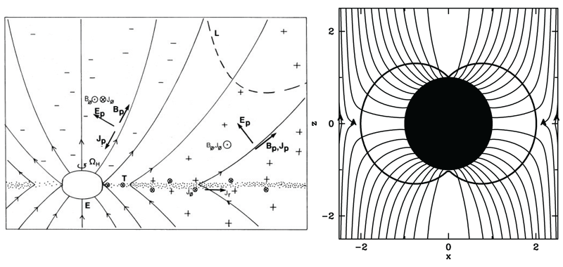 Figure 21