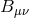 B μν