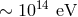 ∼ 1014 eV