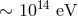 ∼ 1014 eV