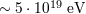 ∼ 5⋅1019 eV