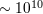 ∼ 1010