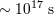 ∼ 1017 s