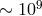 9 ∼ 10