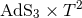 AdS3 × T2