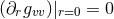 (∂rgvv)|r=0 = 0