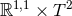 β1,1 × T 2