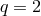 q = 2