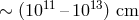 ∼ (1011– 1013) cm