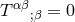 αβ T ;β = 0