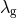 λg