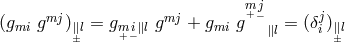mj mj m+−j j (gmi g )∥±l = gm+−i∥l g + gmi g ∥l = (δi)∥±l