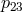 p23