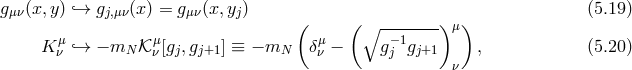 gμν(x,y ) `→ gj,μν(x ) = g μν(x, yj) (5.19 ) ( ( ∘ -------) μ) K μν `→ − mN 𝒦μν[gj,gj+1] ≡ − mN δμν − g−j1gj+1 , (5.20 ) ν