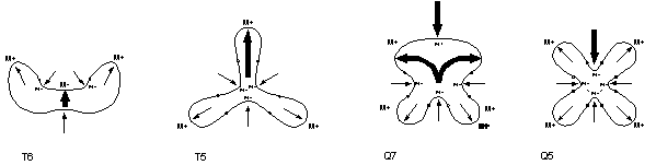 Figure 14 for Michael Leyton