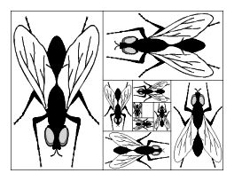 Figure 7 for John Sharp