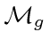 ${\mathcal M }_g$