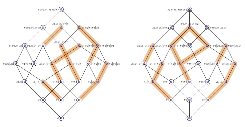 images/CambrianLattice1.jpg