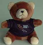 thumbnail: the ICM'98 teddy