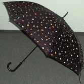 thumbnail: the ICM'98 umbrella