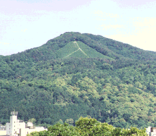Mt. Lambda Image (47KB)