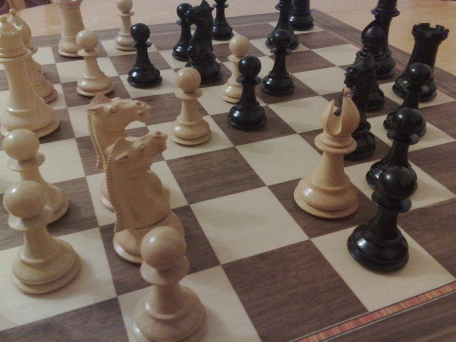 チェス関連の蔵書