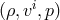 i (ρ,v ,p)