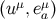 (uμ,e μ) a