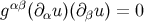 αβ g (∂αu)(∂βu) = 0