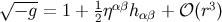 √ − g-= 1 + 1ηαβhαβ + 𝒪 (r3) 2