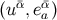 (u¯α,e¯α) a