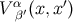 V α′(x,x′) β
