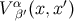 V α′(x, x′) β