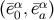 α α (¯e0,¯ea)