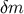 δm