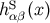 hSαβ(x)
