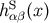 hSαβ(x)