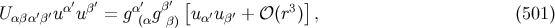 α′ β′ α′ β′ [ 3 ] Uαβα′β′u u = g (αg β) uα′uβ′ + 𝒪 (r ) , (501 )