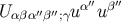 ′′ ′′ α′′ β′′ U αβα β ;γu u