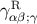 γRαβ;γ