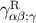 R γαβ;γ