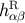 R hα β