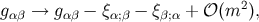 gα β → gαβ − ξα;β − ξβ;α + 𝒪 (m2),