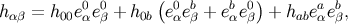 hαβ = h00e0e0 + h0b(e0 eb+ ebe0) + habeaeb, α β α β α β α β
