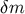 δm