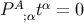 A α P ;αt = 0