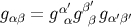 α′ β′ gαβ = g αg β gα′β′