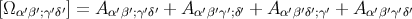 [Ω α′β′;γ′δ′] = A α′β′;γ′δ′ + Aα′β′γ′;δ′ + Aα′β′δ′;γ′ + A α′β′γ′δ′