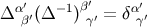 α′ −1 β′ α′ Δ β′(Δ ) γ′ = δ γ′